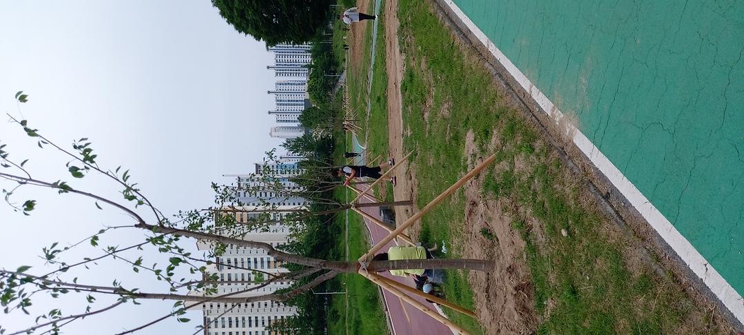 공무원의 소극행정 사례1