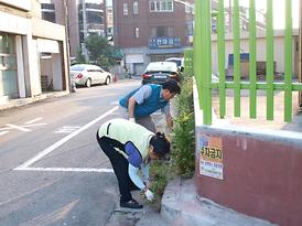 무단투기지역 청소 참여