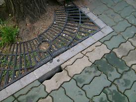 시민회관 사거리 싱크홀민원 현장방문