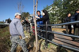 녹양천변 나무심기 행사