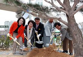 시승격 50주년 기념식 행사