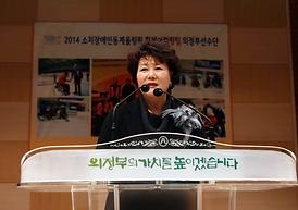 소치 장애인동계올림픽 휠체어컬링팀 출정식 