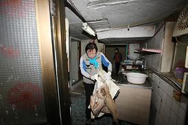 이웃과 더불어 함께사는 행복한세상 만들기 