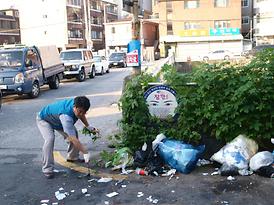 무단투기지역 청소 참여