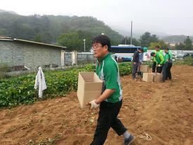 의정부3동 휴경지 고구마 캐기 참여
