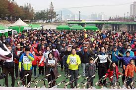 2015 한마음 건강걷기 대회