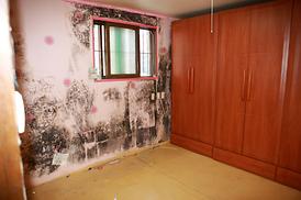 사랑의집 고쳐주기 행사