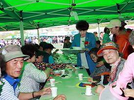 제20회 씨름왕선발 및 그네뛰기대회