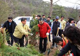 고맙습니다 ! 함께 이룬 우리 숲