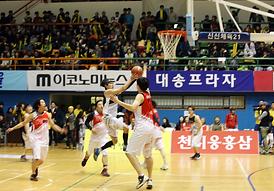 스타와 함께하는 희망농구