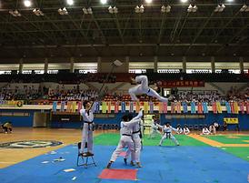 제33회 의정부시장기 태권도 대회