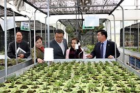 행정사무감사 활동