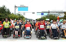 제8회 전국어울림 마라톤대회