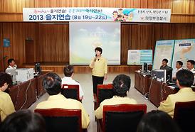 2013년 을지연습