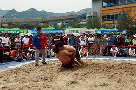 제20회 씨름왕선발 및 그네뛰기대회
