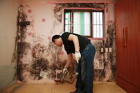 의정부시의회 자원봉사단 봉사활동