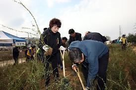 제69회 식목일행사