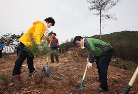 고맙습니다 ! 함께 이룬 우리 숲
