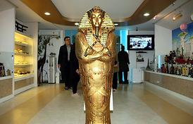 타시군 선진시설 비교견학