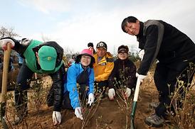 제69회 식목일행사