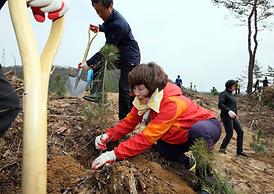 고맙습니다 ! 함께 이룬 우리 숲