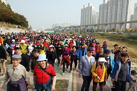 2014 한마음 건강 걷기대회