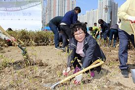 제74회 식목일 나무심기 행사
