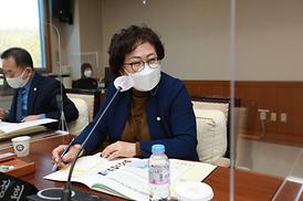 제303회 임시회(자치행정위원회)