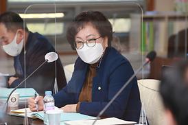 제303회 임시회(자치행정위원회)