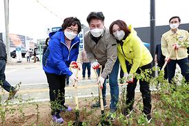 제76회 식목일 나무심기 행사