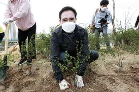 제76회 식목일 나무심기 행사