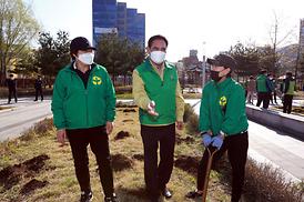 새마을회 무궁화 나무심기