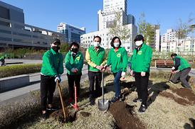 새마을회 무궁화 나무심기