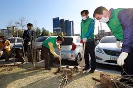 새마을회 무궁화 나무심기