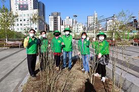 새마을회 무궁화 나무심기