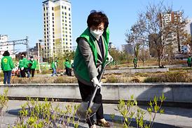 새마을회 무궁화 나무심기