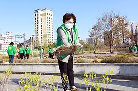 새마을회 무궁화 나무심기