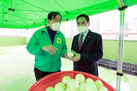 새마을부녀회 효도음식 만들기