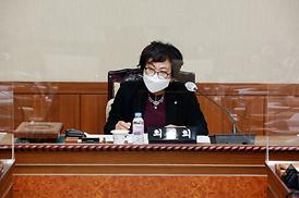 지방자치법대응연구용역착수보고회