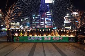 성탄축하 트리 점등식