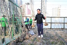 봄맞이 새마을 대청소