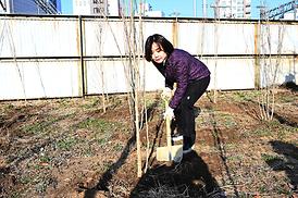 봄맞이 새마을 대청소