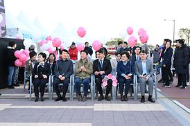 의정부 호원 벚꽃 축제