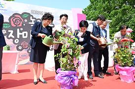 녹양동 장미문화 축제