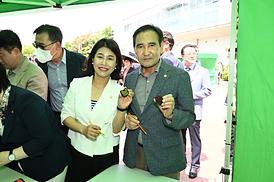 녹양동 장미문화 축제