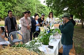 청보리길 걸어보기 행사