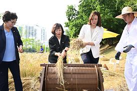 청보리길 걸어보기 행사