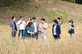 청보리길 걸어보기 행사