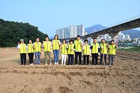 해바라기 파종 심기 행사