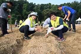 해바라기 파종 심기 행사